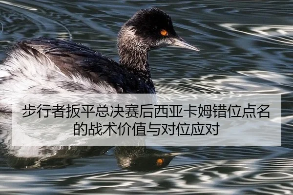 步行者扳平总决赛后西亚卡姆错位点名的战术价值与对位应对