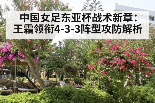 中国女足东亚杯战术新章:王霜领衔4-3-3阵型攻防解析